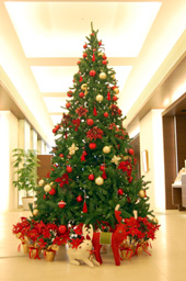 �N���X�}�X�c���[�o�� 