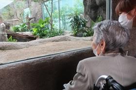 神戸どうぶつ王国