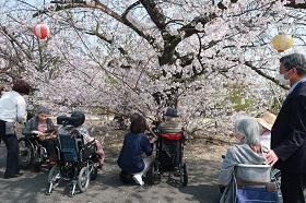 お花見