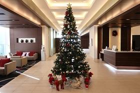 クリスマスツリー