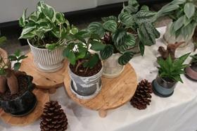 花屋・観葉植物販売